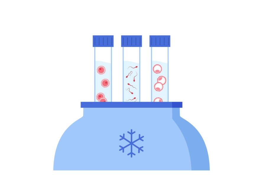 Cryopreservation - treatment