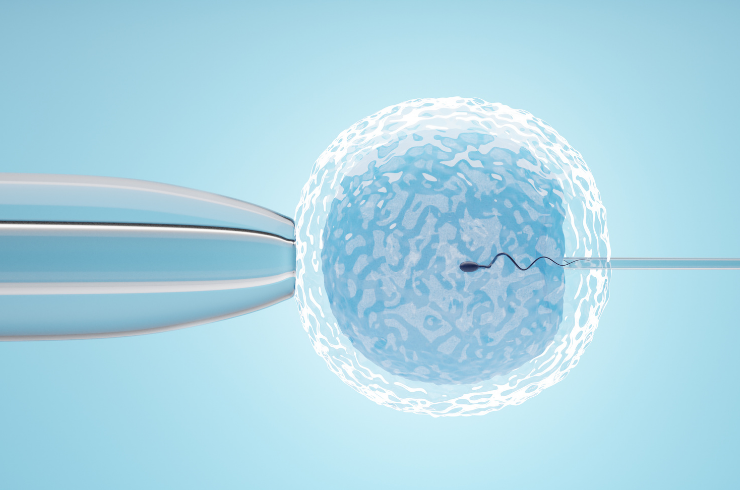 IVF / ICSI Treatment