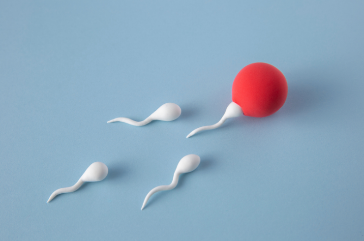 Low Sperm Count Treatment